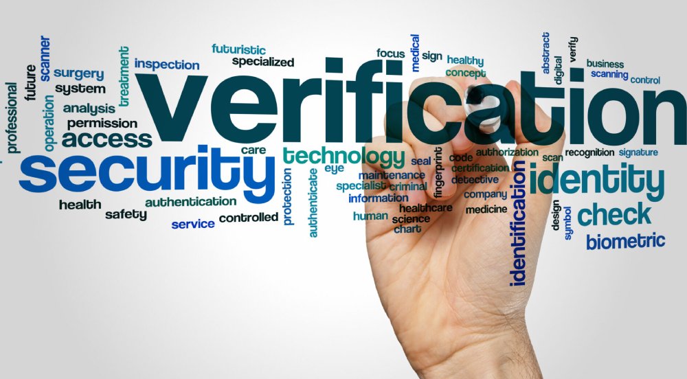 local link building - zam studios